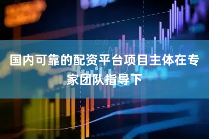 国内可靠的配资平台项目主体在专家团队指导下