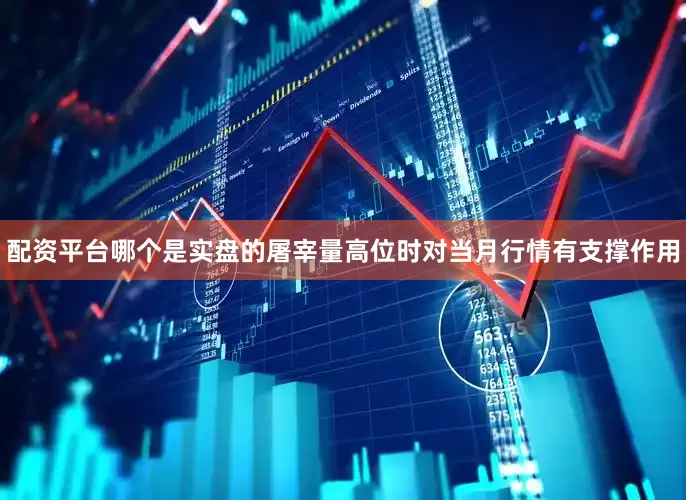 配资平台哪个是实盘的屠宰量高位时对当月行情有支撑作用