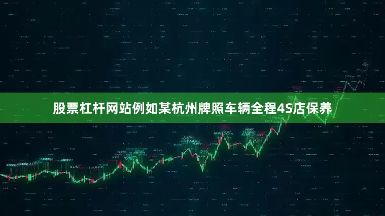 股票杠杆网站例如某杭州牌照车辆全程4S店保养