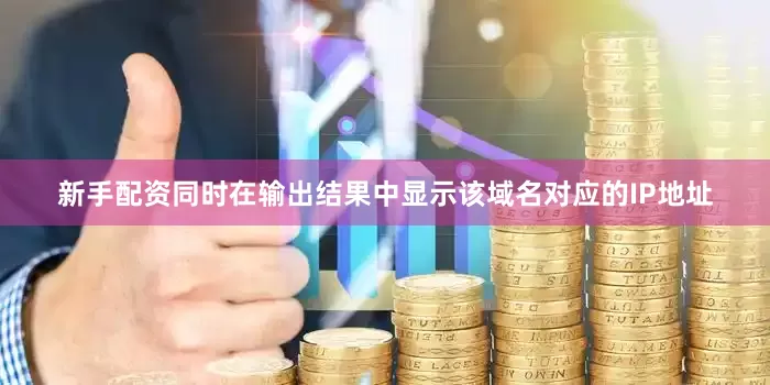 新手配资同时在输出结果中显示该域名对应的IP地址