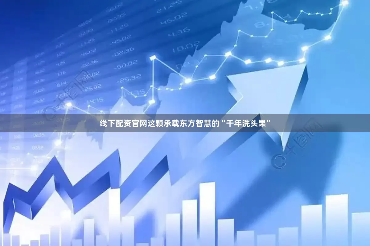 线下配资官网这颗承载东方智慧的“千年洗头果”