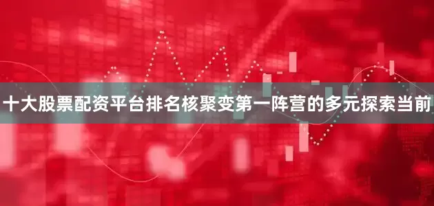 十大股票配资平台排名核聚变第一阵营的多元探索当前